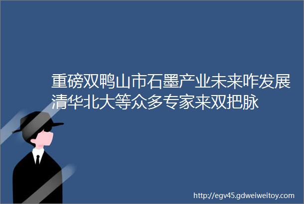 重磅双鸭山市石墨产业未来咋发展清华北大等众多专家来双把脉