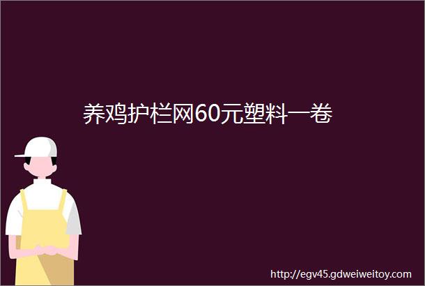 养鸡护栏网60元塑料一卷