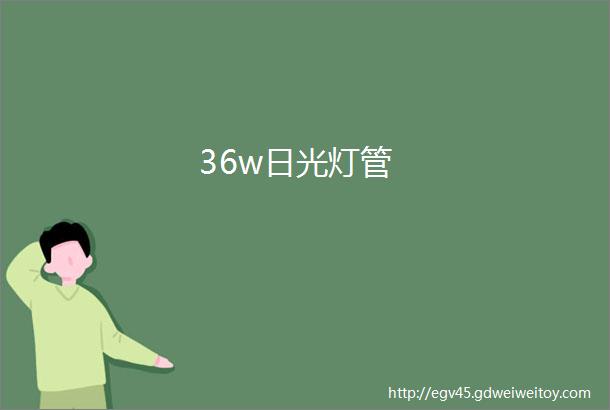 36w日光灯管